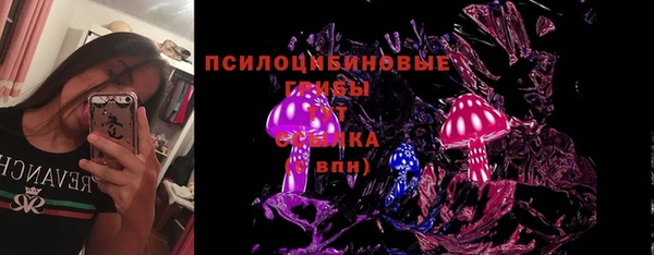 МДМА Белокуриха