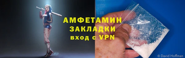 сатива Беломорск