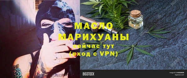 сатива Беломорск