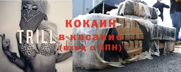 сатива Беломорск