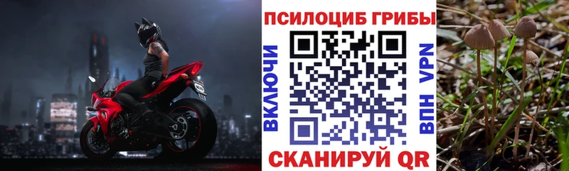 Галлюциногенные грибы GOLDEN TEACHER  Вяземский 