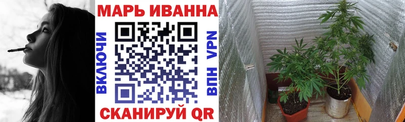 кракен как войти Вяземский Марихуана семена купить наркотики сайты